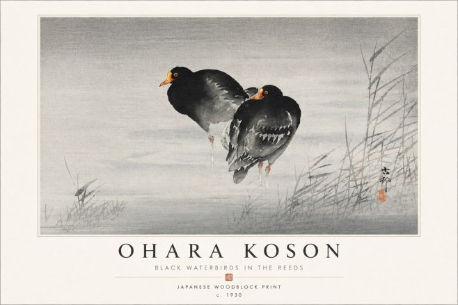 Ohara Koson Black Waterbirds in the Reeds No4 - Póster
