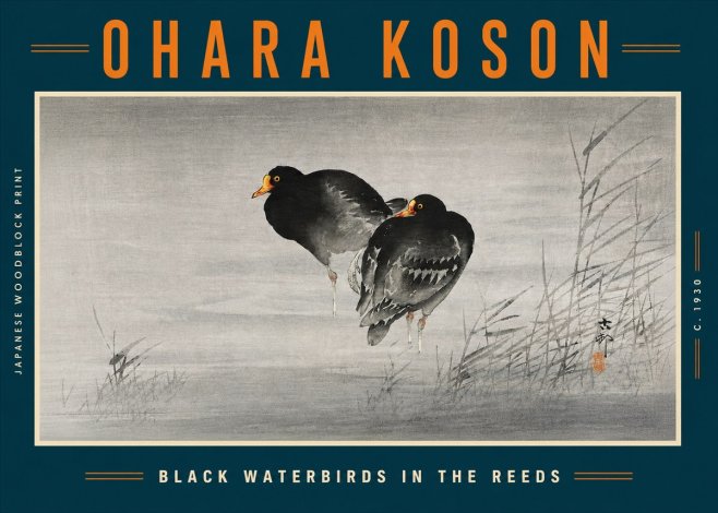 Ohara Koson Black Waterbirds in the Reeds No5 - Póster