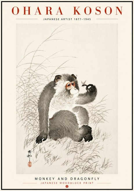 Ohara Koson Monkey and Dragonfly No6 - Póster