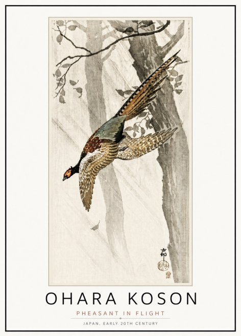 Ohara Koson Pheasant in Flight No4 - Póster