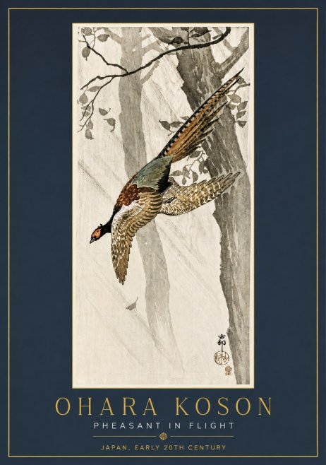 Ohara Koson Pheasant in Flight No5 - Póster