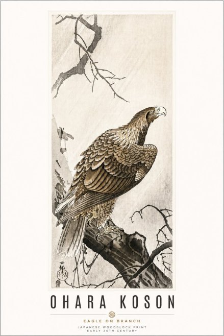 Ohara Koson Eagle on Branch No3 - Póster
