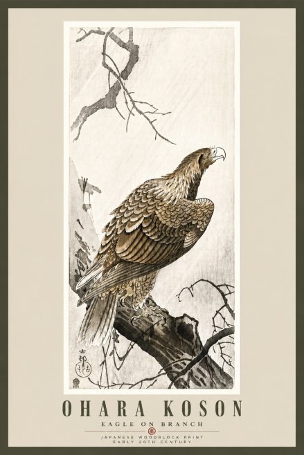 Ohara Koson Eagle on Branch No5 - Póster