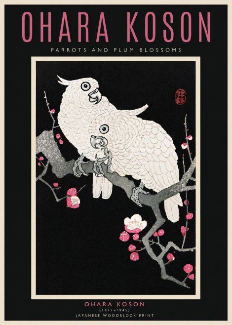 Ohara Koson Parrots and Plum Blossoms No4 - Póster