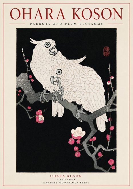 Ohara Koson Parrots and Plum Blossoms No5 - Póster