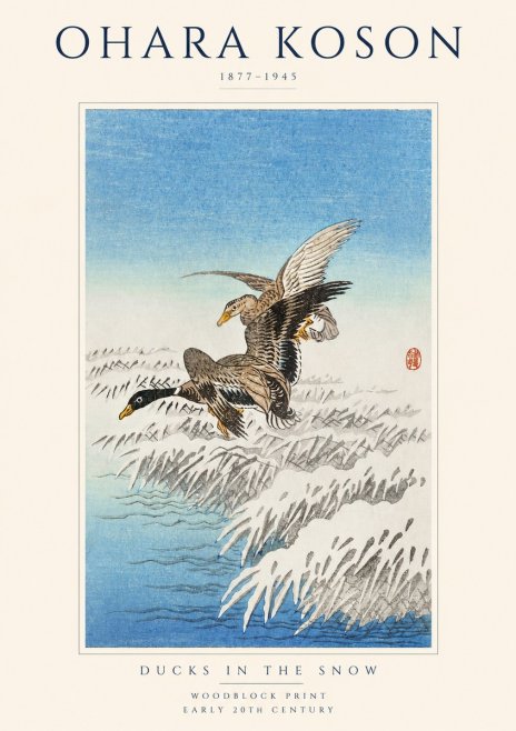 Ohara Koson Ducks in the Snow No1 - Póster