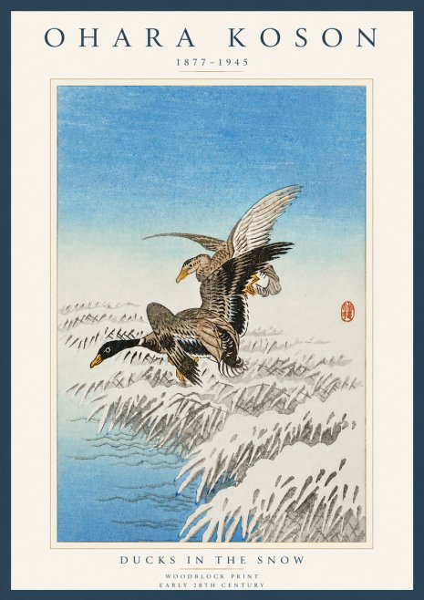 Ohara Koson Ducks in the Snow No4 - Póster