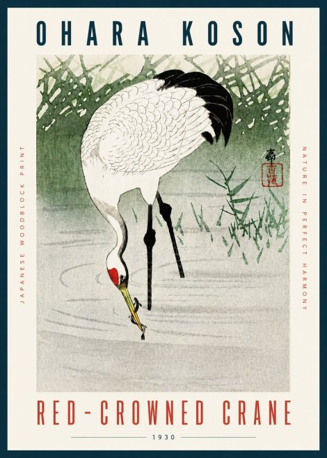 Ohara Koson Red-crowned Crane No4 - Póster