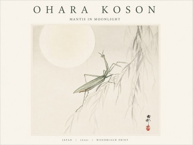 Ohara Koson Mantis in Moonlight No1 - Póster