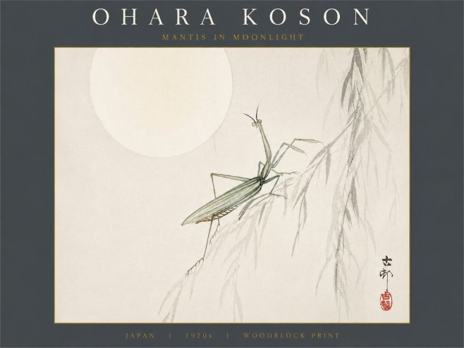 Ohara Koson Mantis in Moonlight No6 - Póster