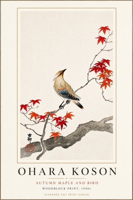 Ohara Koson Autumn Maple and Bird No3 - Póster