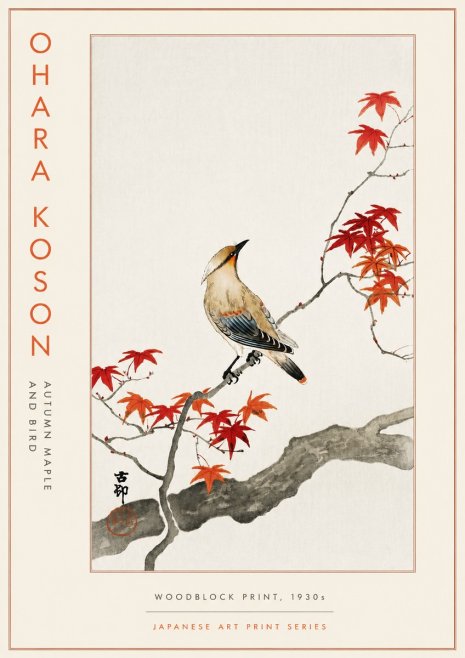 Ohara Koson Autumn Maple and Bird No5 - Póster