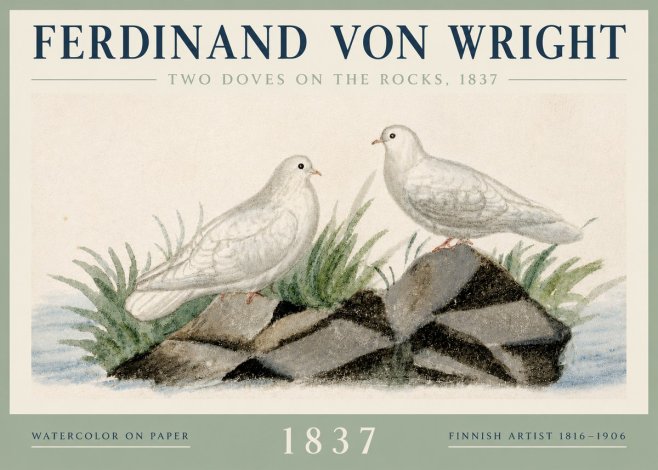 Ferdinand von Wright Two Doves on the Rocks, 1837 No3 - Póster