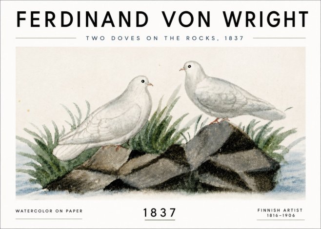Ferdinand von Wright Two Doves on the Rocks, 1837 No6 - Póster