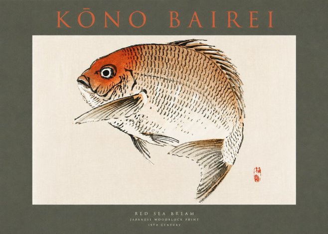 Kōno Bairei Red Sea Bream No2 - Póster
