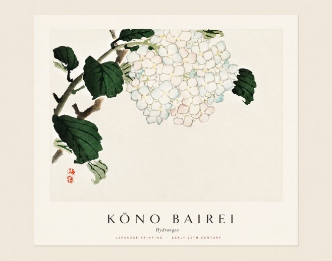 Kōno Bairei Hydrangea No1 - Póster