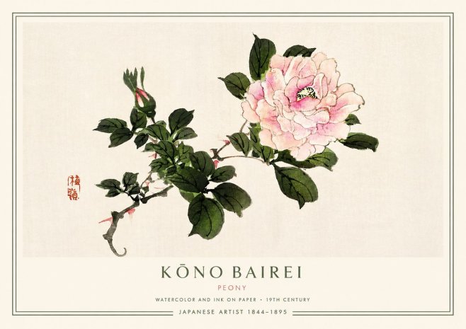 Kōno Bairei Peony I No3 - Póster