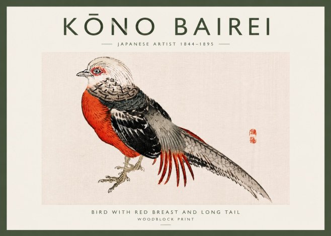 Kōno Bairei Bird with Red Breast and Long Tail No6 - Póster