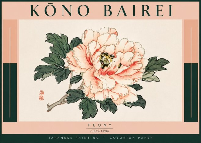 Kōno Bairei Peony II No4 - Póster