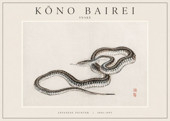 Kōno Bairei Snake No1 - Póster