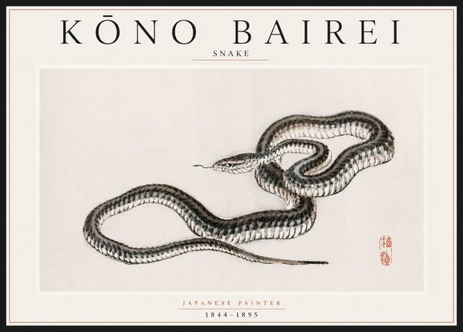 Kōno Bairei Snake No5 - Póster
