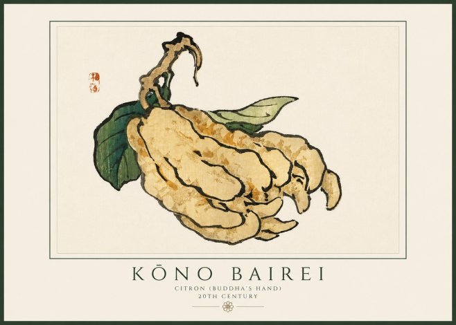 Kōno Bairei Citron (Buddha's Hand) No3 - Póster