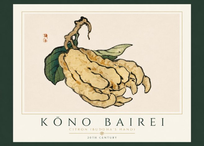 Kōno Bairei Citron (Buddha's Hand) No6 - Póster