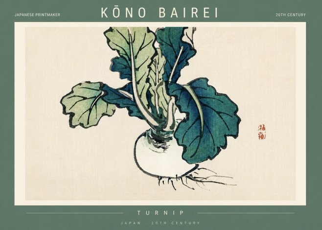 Kōno Bairei Turnip No2 - Póster