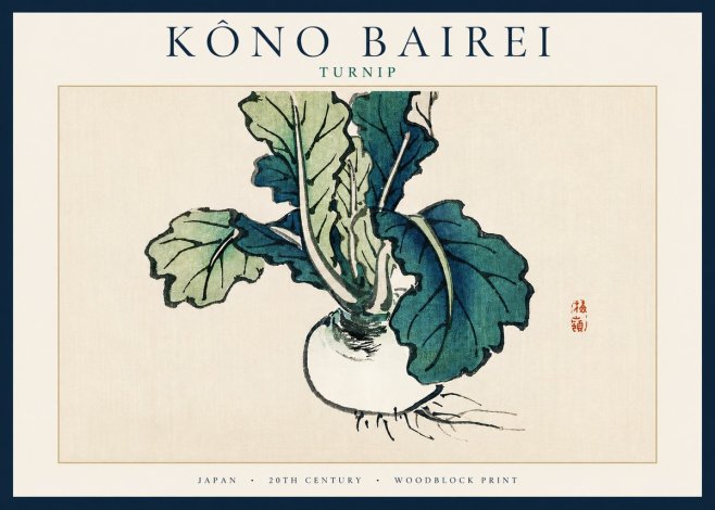 Kōno Bairei Turnip No3 - Póster