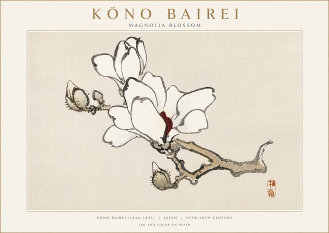 Kōno Bairei Magnolia Blossom No3 - Póster