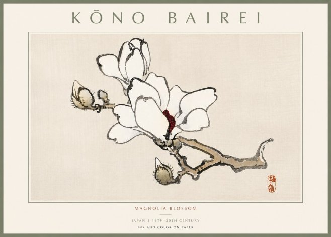 Kōno Bairei Magnolia Blossom No5 - Póster