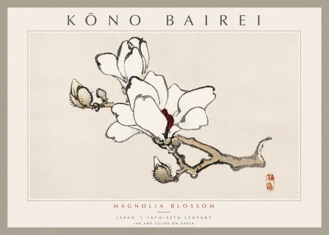 Kōno Bairei Magnolia Blossom No6 - Póster