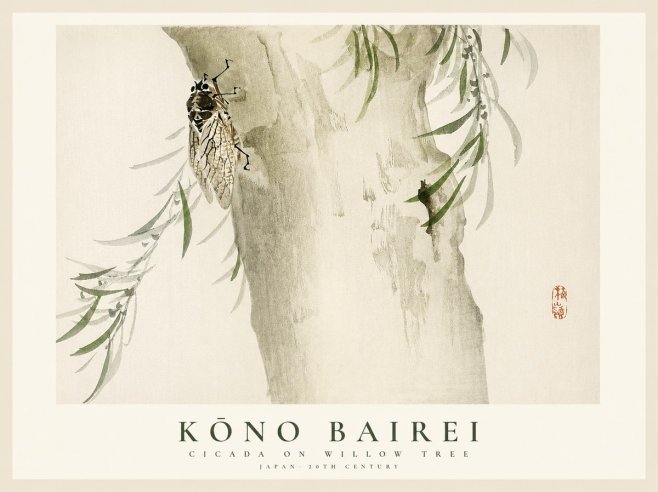 Kōno Bairei Cicada on Willow Tree No1 - Póster