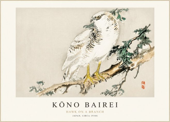 Kōno Bairei Hawk on a Branch No1 - Póster