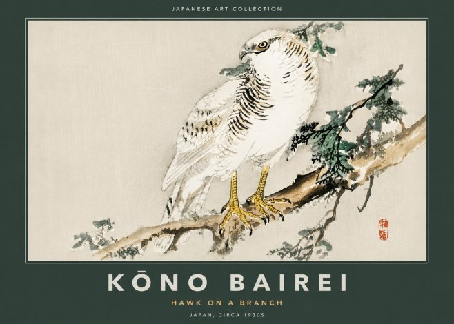 Kōno Bairei Hawk on a Branch No2 - Póster