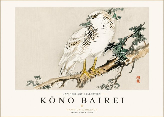 Kōno Bairei Hawk on a Branch No3 - Póster