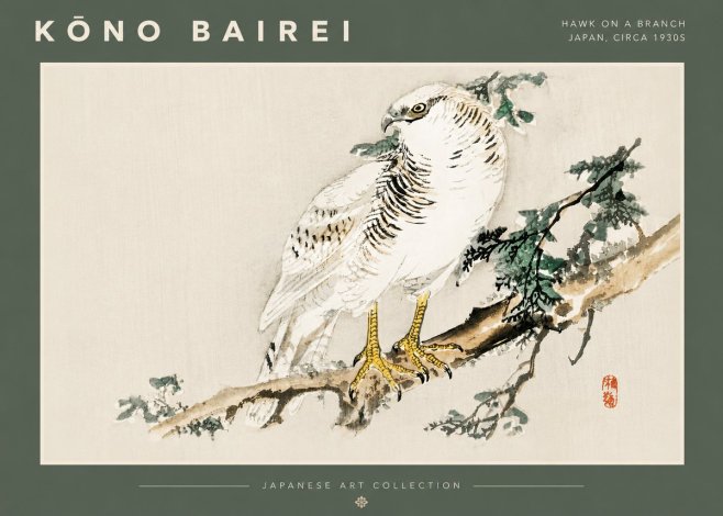 Kōno Bairei Hawk on a Branch No4 - Póster