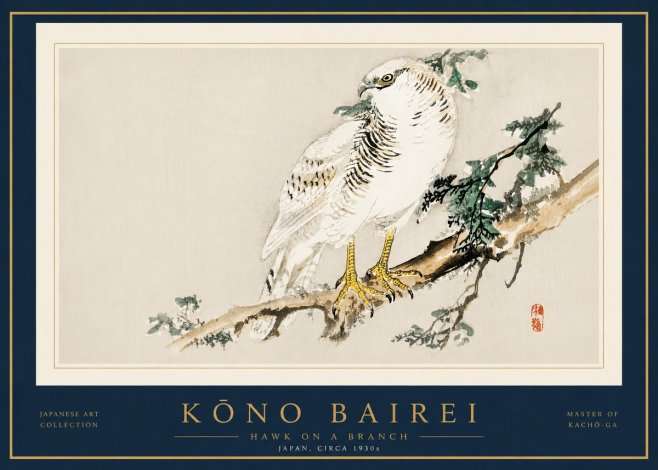 Kōno Bairei Hawk on a Branch No5 - Póster