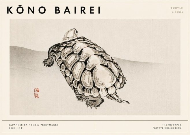 Kōno Bairei Turtle No3 - Póster