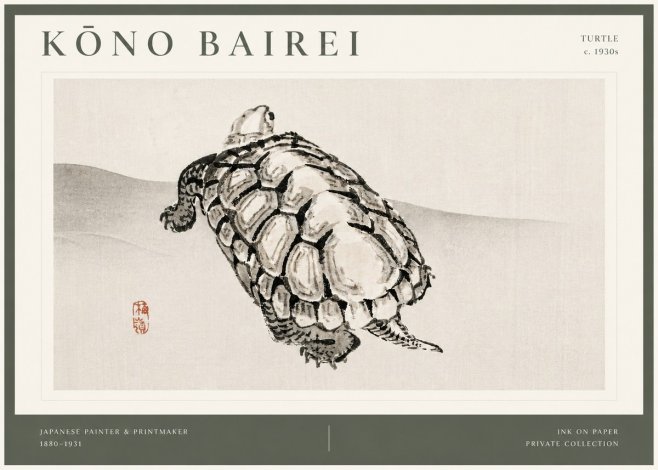 Kōno Bairei Turtle No4 - Póster