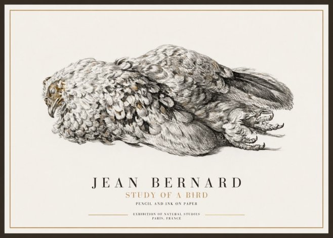 Jean Bernard Study of a Bird I No1 - Póster