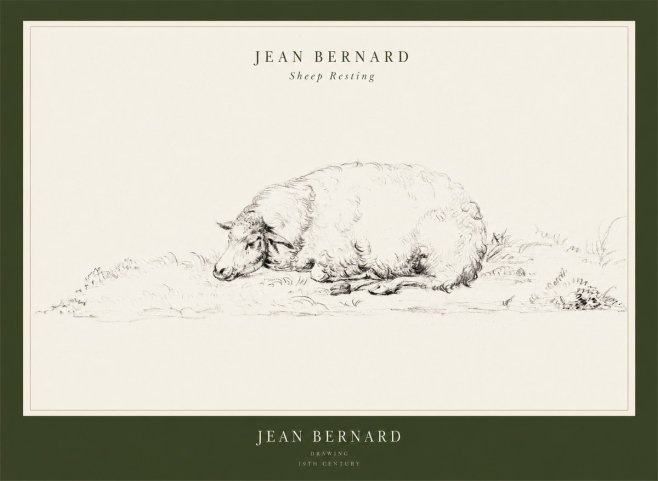 Jean Bernard Sheep Resting on the Ground No3 - Póster