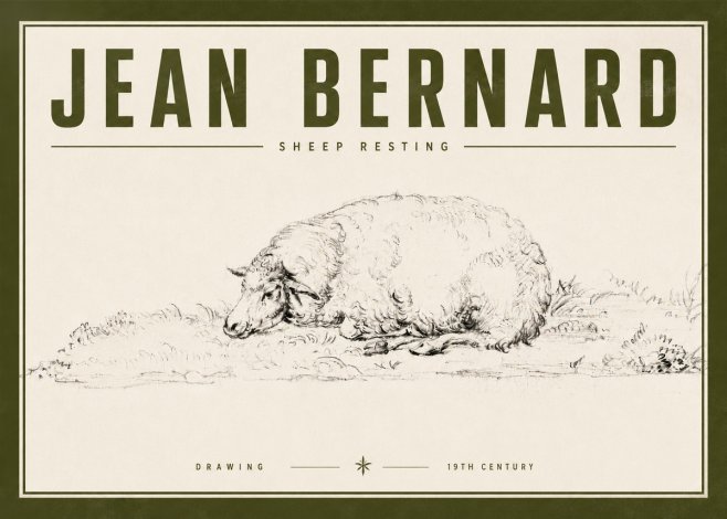 Jean Bernard Sheep Resting on the Ground No6 - Póster