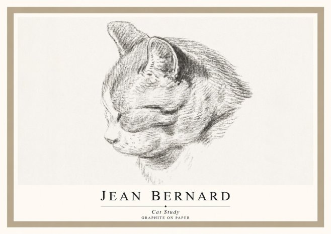 Jean Bernard Cat Study I No1 - Póster