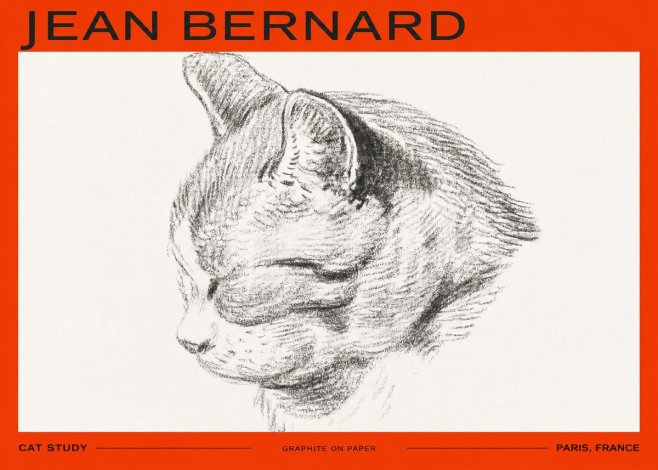 Jean Bernard Cat Study I No2 - Póster