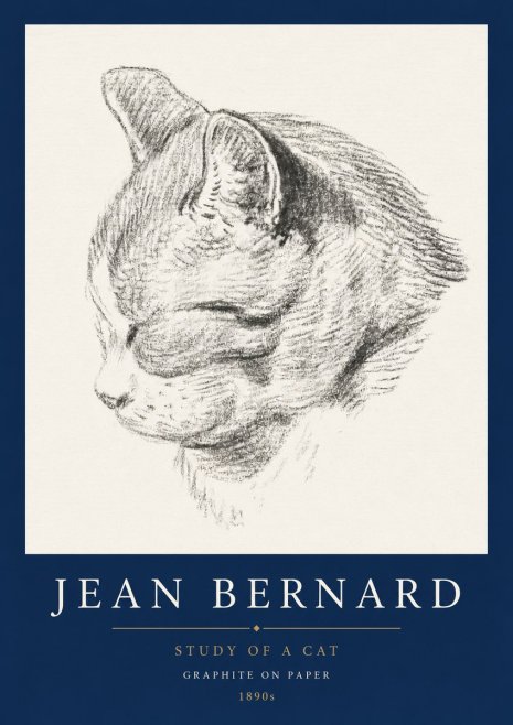 Jean Bernard Cat Study I No5 - Póster