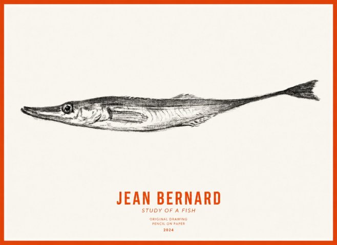 Jean Bernard Study of a Fish I No3 - Póster