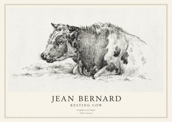 Jean Bernard Resting Cow I No1 - Póster