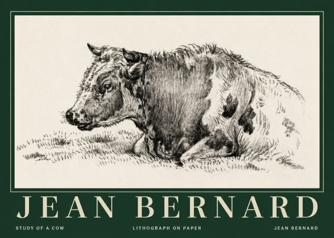Jean Bernard Resting Cow I No5 - Póster