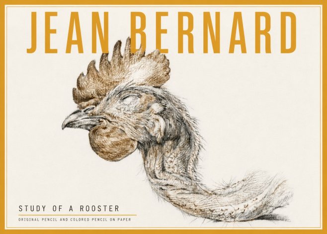 Jean Bernard Study of a Rooster Head No5 - Póster